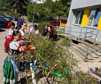Spravodajstvo z podujatí / Tradície v Rožňave stále žijú: Folkloristi postavili máj  - foto