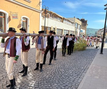 Spravodajstvo z podujatí / Tradície v Rožňave stále žijú: Folkloristi postavili máj  - foto