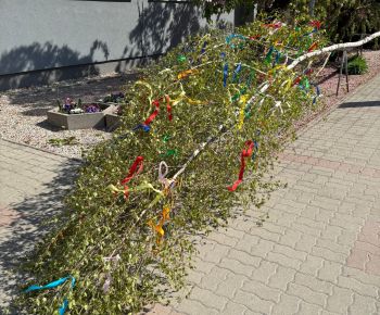 Spravodajstvo z podujatí / Tradície v Rožňave stále žijú: Folkloristi postavili máj  - foto