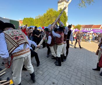 Spravodajstvo z podujatí / Tradície v Rožňave stále žijú: Folkloristi postavili máj  - foto