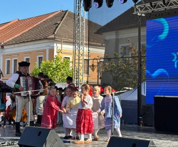 Spravodajstvo z podujatí / Tradície v Rožňave stále žijú: Folkloristi postavili máj  - foto