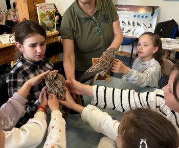 Spravodajstvo z podujatí / Ocenenie pre knižnicu i lesnú pedagogičku v projekte Les ukrytý v knihe - foto