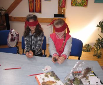 Spravodajstvo z podujatí / Ocenenie pre knižnicu i lesnú pedagogičku v projekte Les ukrytý v knihe - foto