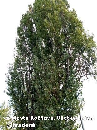 strom1