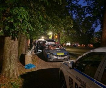 Zo života mestskej polície / Zisťovanie porušovania zákazu požívania alkoholických nápojov osobami maloletými a mladistvými - foto