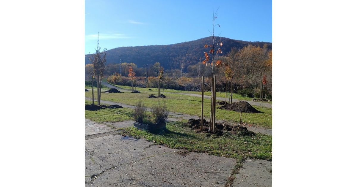 Výsadba drevín na dopravnom ihrisku