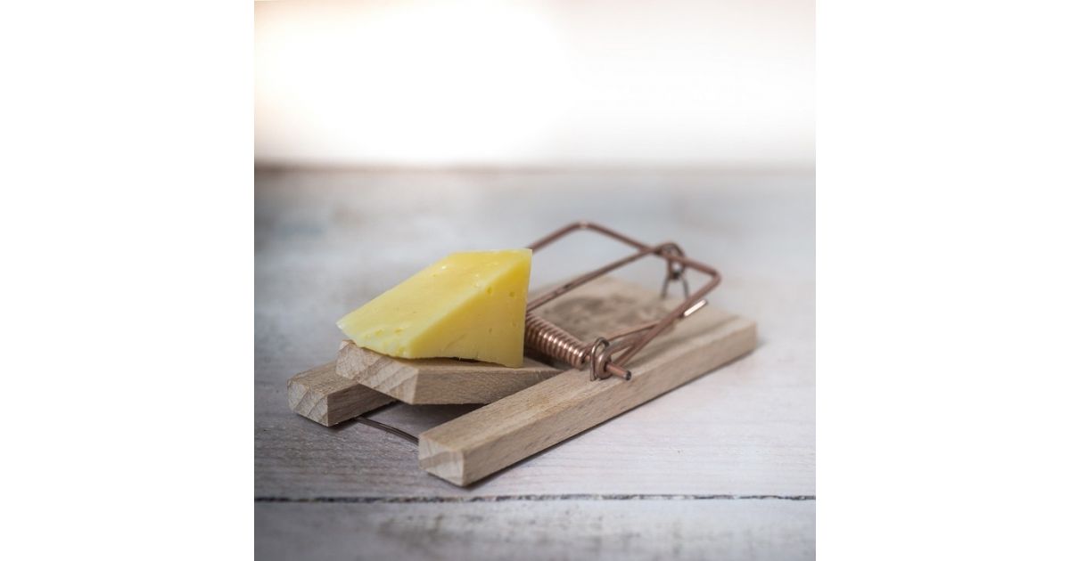 Celoplošná deratizácia verejných priestranstiev a nehnuteľností  vo vlastníctve, resp. správe mesta