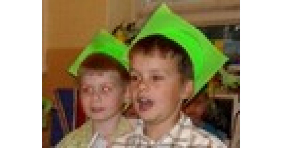 Anglická akadémia v MŠ