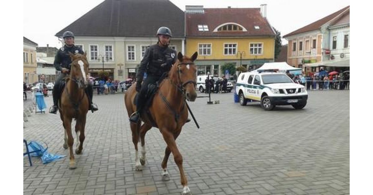 Deň polície, bezpečnostných a záchranných zložiek