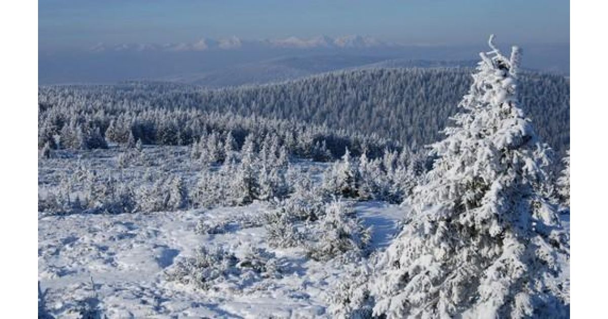39. ročník novoročného výstupu na Volovec