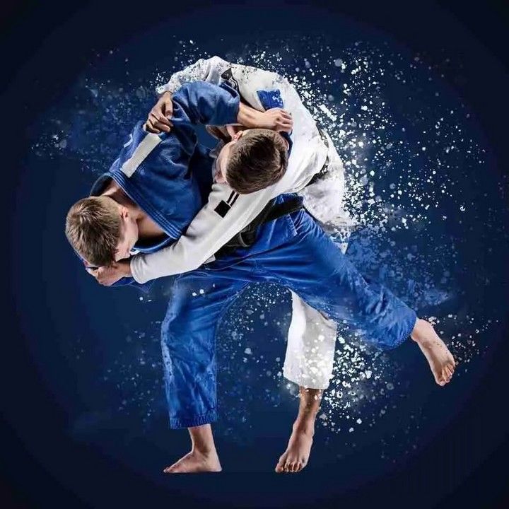 Fotka - JUDO CLUB PRI TJ ELÁN ROŽŇAVA