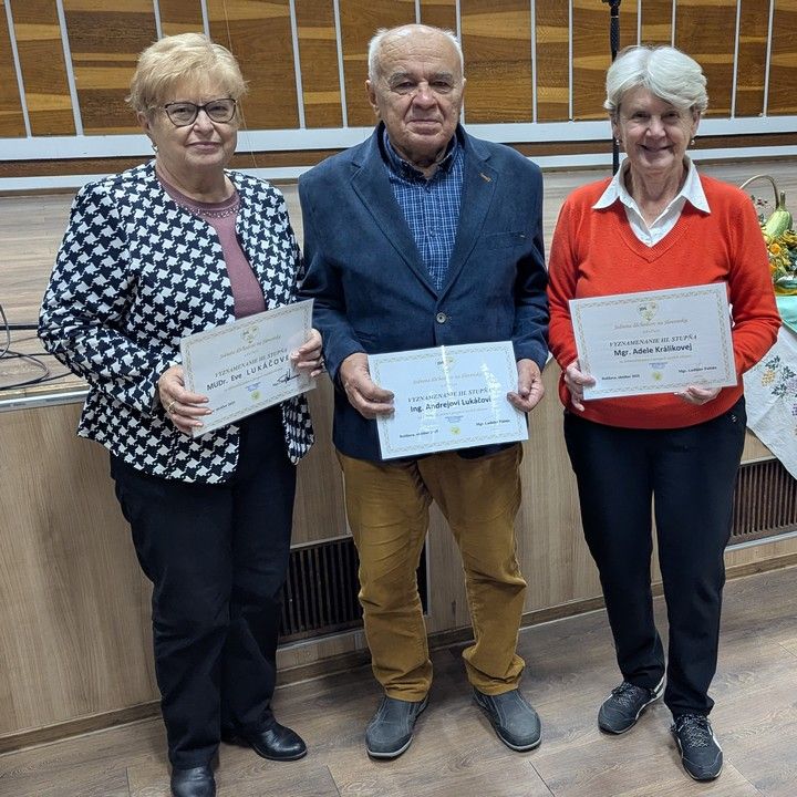 Fotka - Mesiac úcty k starším