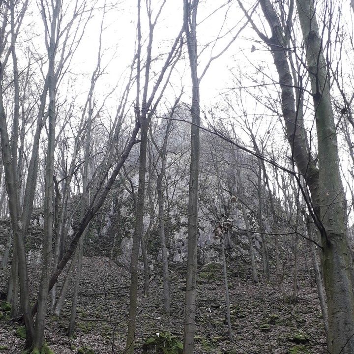 Fotka - Národný park Slovenský kras