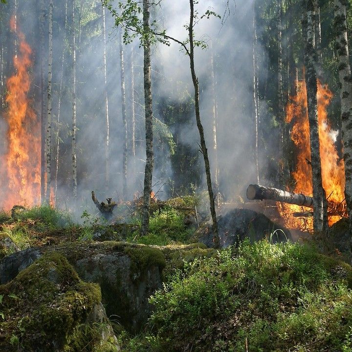 Fotka - Odvolanie času zvýšeného nebezpečenstva vzniku požiarov