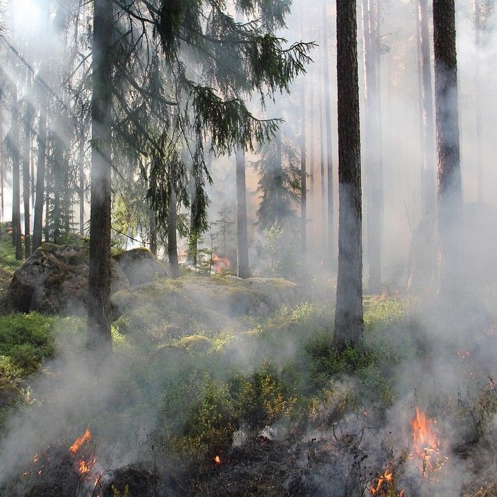 Fotka - Odvolanie času zvýšeného nebezpečenstva vzniku požiaru