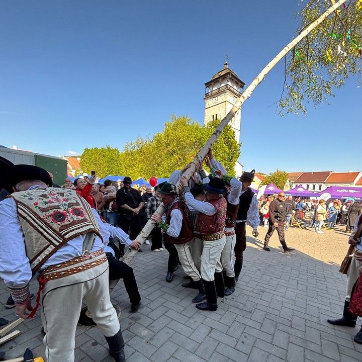 Fotka - Tradície v Rožňave stále žijú: Folkloristi postavili máj 