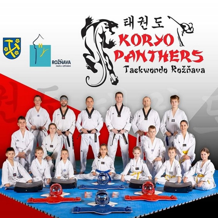 Záverečná správa o činnosti klubu KORYO Panthers Taekwondo Rožňava