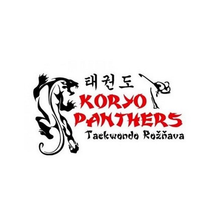 Fotka - Záverečná správa o činnosti klubu KORYO Panthers Taekwondo Rožňava za rok...